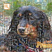 モザイクアート構成枚数：900枚、合成度合い：50％