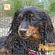 モザイクアート構成枚数：900枚、合成度合い：60％