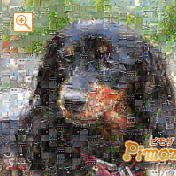 モザイクアート構成枚数：900枚、合成度合い：50％