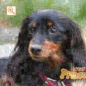 モザイクアート構成枚数：900枚、合成度合い：70％