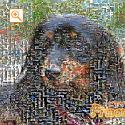 モザイクアート構成枚数：1,764枚、合成度合い：40％