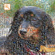 モザイクアート構成枚数：1,764枚、合成度合い：50％