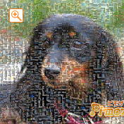 モザイクアート構成枚数：1,764枚、合成度合い：60％