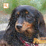 モザイクアート構成枚数：1,764枚、合成度合い：70％