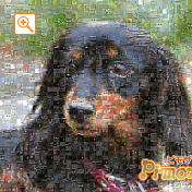 モザイクアート構成枚数：1,764枚、合成度合い：50％