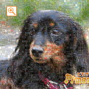 モザイクアート構成枚数：1,764枚、合成度合い：60％