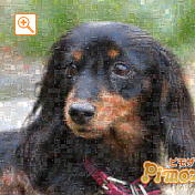 モザイクアート構成枚数：1,764枚、合成度合い：70％