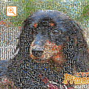 モザイクアート構成枚数：3,600枚、合成度合い：40％