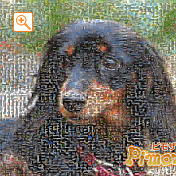 モザイクアート構成枚数：3,600枚、合成度合い：50％