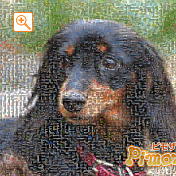 モザイクアート構成枚数：3,600枚、合成度合い：60％