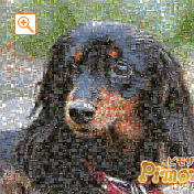 モザイクアート構成枚数：3,600枚、合成度合い：40％