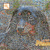 モザイクアート構成枚数：7,225枚、合成度合い：00％