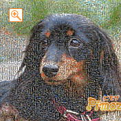 モザイクアート構成枚数：7,225枚、合成度合い：50％