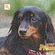 モザイクアート構成枚数：7,225枚、合成度合い：60％