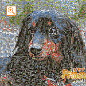 モザイクアート構成枚数：7,225枚、合成度合い：00％