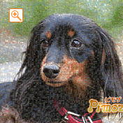 モザイクアート構成枚数：7,225枚、合成度合い：60％