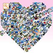 フォトシェイプサンプル