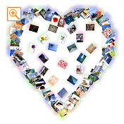 フォトシェイプサンプル