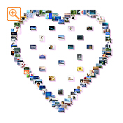 フォトシェイプサンプル