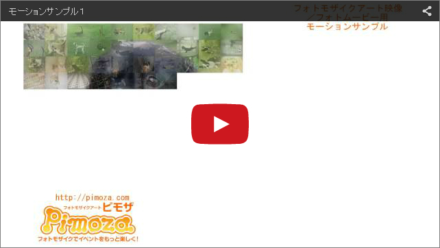 映像サンプル