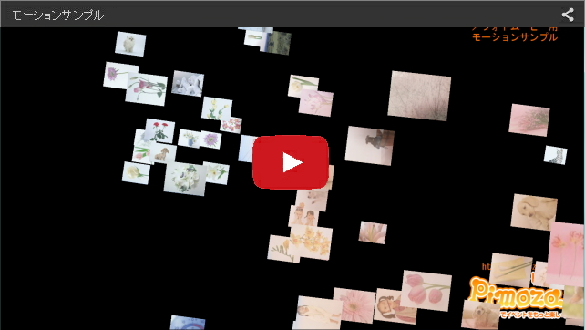 映像サンプル