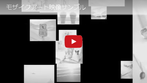 映像サンプル