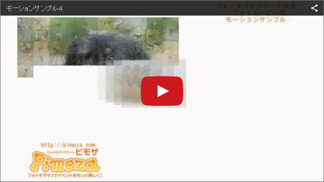 映像サンプル