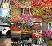 フォトパーツ横向き