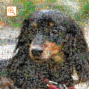 埋め込み枚数：2,025枚、合成度合い：30％