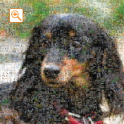 埋め込み枚数：2,025枚、合成度合い：40％