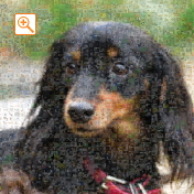 埋め込み枚数：2,025枚、合成度合い：60％