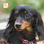 埋め込み枚数：2,025枚、合成度合い：70％