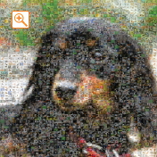 埋め込み枚数：3,025枚、合成度合い：30％