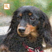 埋め込み枚数：3,025枚、合成度合い：60％