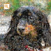 埋め込み枚数：900枚、合成度合い：30％