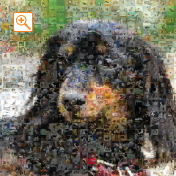 埋め込み枚数：900枚、合成度合い：40％