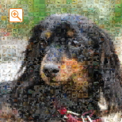 埋め込み枚数：900枚、合成度合い：50％