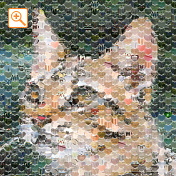 フォトパーツ特殊形状ハート形[1]