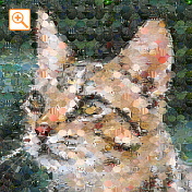 フォトパーツ特殊形状手裏剣形[1]