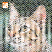 フォトパーツ特殊形状手裏剣形[2]