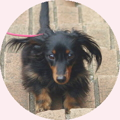 フォトパーツ特殊形状：円形