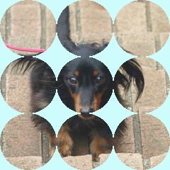 フォトパーツ特殊形状：円形