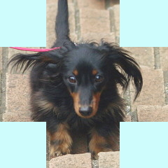 フォトパーツ特殊形状：十字形