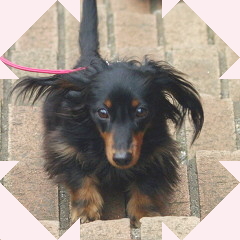 フォトパーツ特殊形状：W十字形