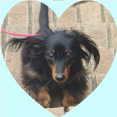 フォトパーツ特殊形状：ハート形