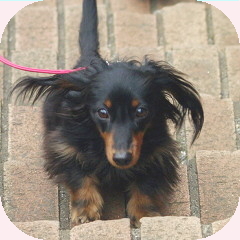 フォトパーツ特殊形状：正方形