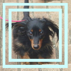 フォトパーツ特殊形状：正方形