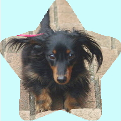 フォトパーツ特殊形状：星形