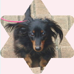 フォトパーツ特殊形状：星形