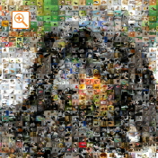 フォトモザイクアート・ベース合成前